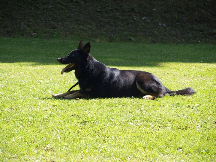 Probeschutzdienst 07.07.2013