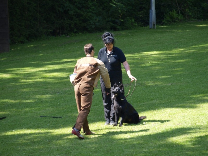 Probeschutzdienst 07.07.2013