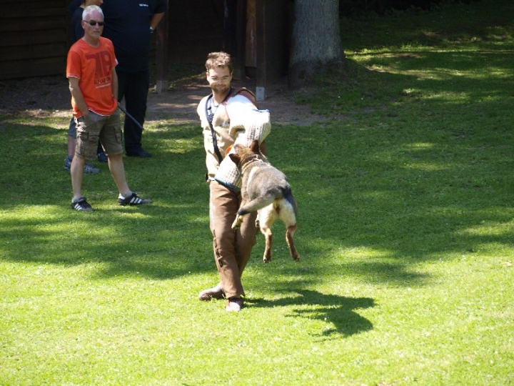 Probeschutzdienst 07.07.2013