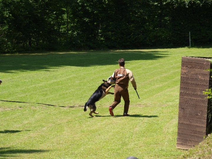 Probeschutzdienst 07.07.2013