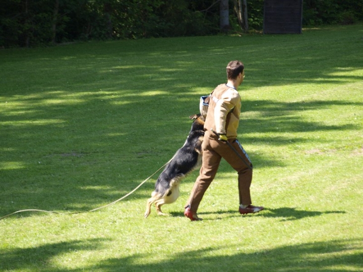 Probeschutzdienst 07.07.2013