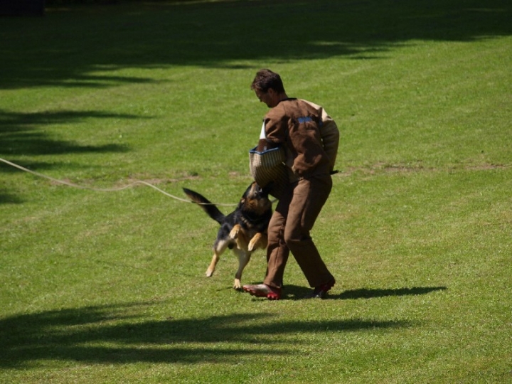 Probeschutzdienst 07.07.2013