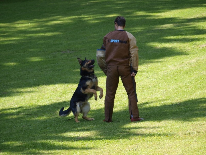 Probeschutzdienst 07.07.2013