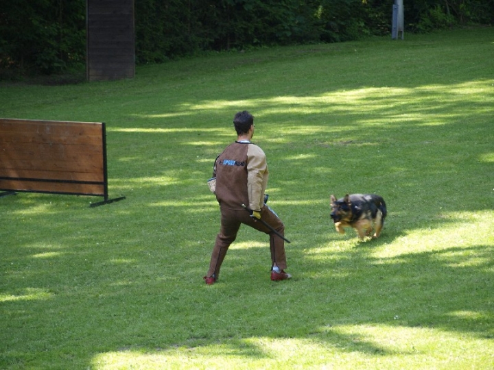 Probeschutzdienst 07.07.2013