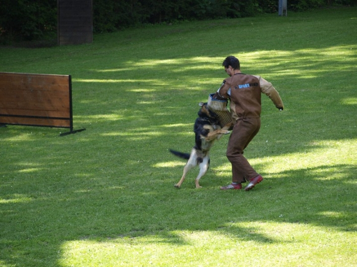 Probeschutzdienst 07.07.2013