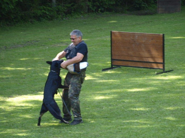 Probeschutzdienst 07.07.2013