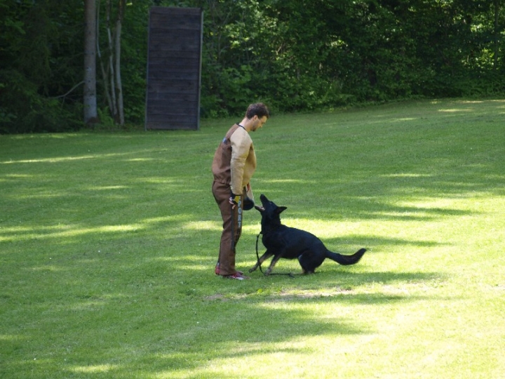 Probeschutzdienst 07.07.2013