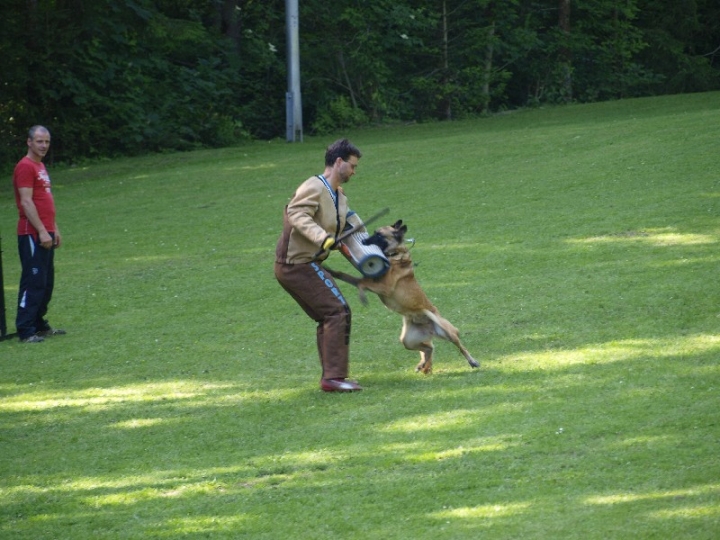 Probeschutzdienst 07.07.2013