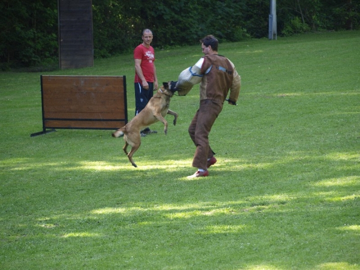 Probeschutzdienst 07.07.2013