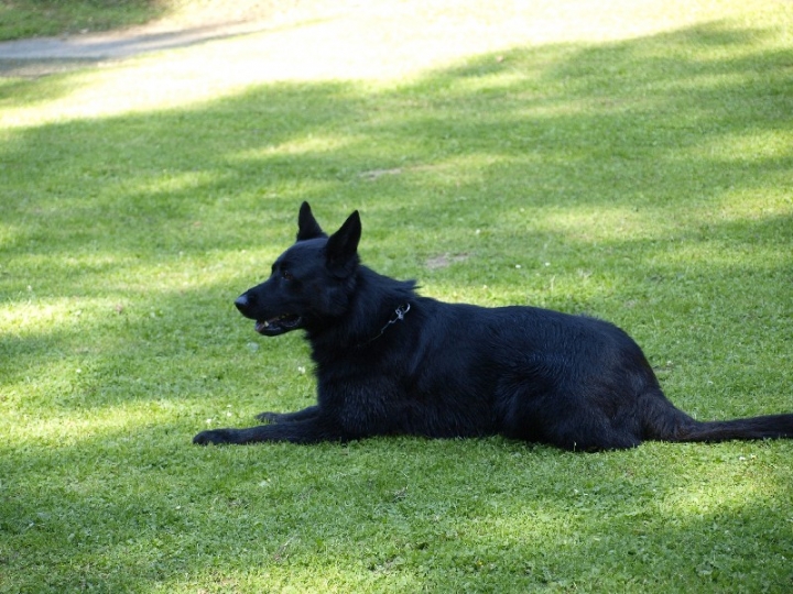 Probeschutzdienst 07.07.2013