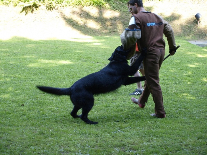 Probeschutzdienst 07.07.2013