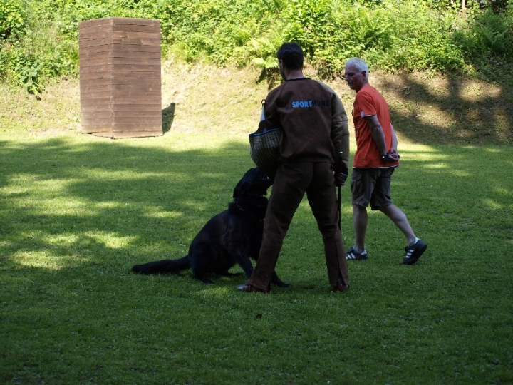 Probeschutzdienst 07.07.2013