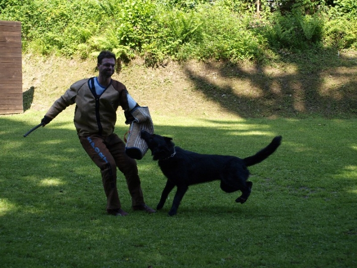 Probeschutzdienst 07.07.2013