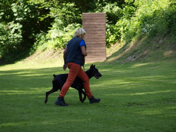 Probeschutzdienst 07.07.2013