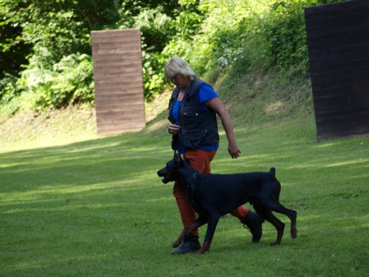 Probeschutzdienst 07.07.2013