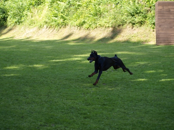 Probeschutzdienst 07.07.2013