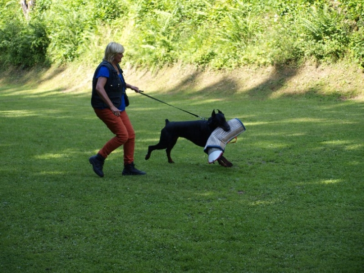 Probeschutzdienst 07.07.2013