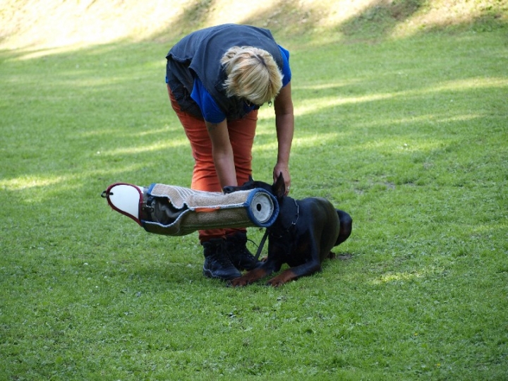 Probeschutzdienst 07.07.2013