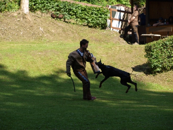 Probeschutzdienst 07.07.2013