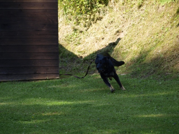 Probeschutzdienst 07.07.2013