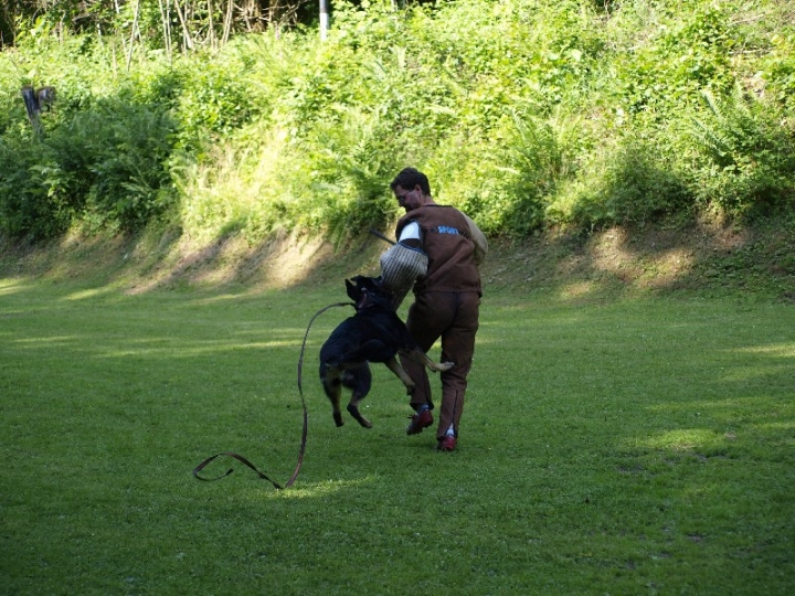 Probeschutzdienst 07.07.2013