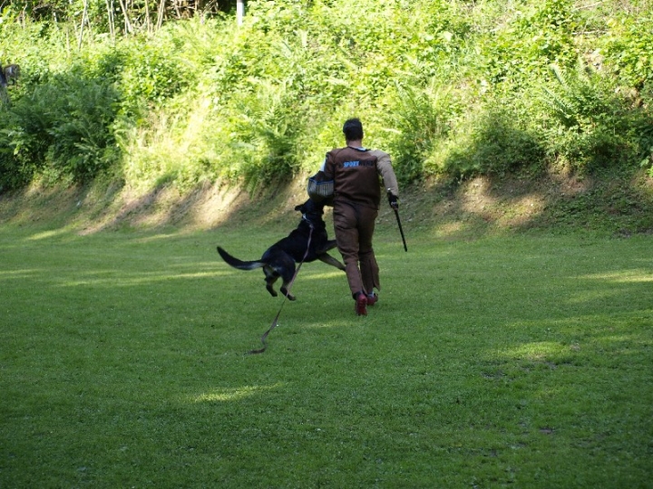 Probeschutzdienst 07.07.2013