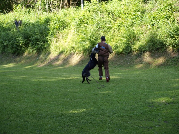 Probeschutzdienst 07.07.2013