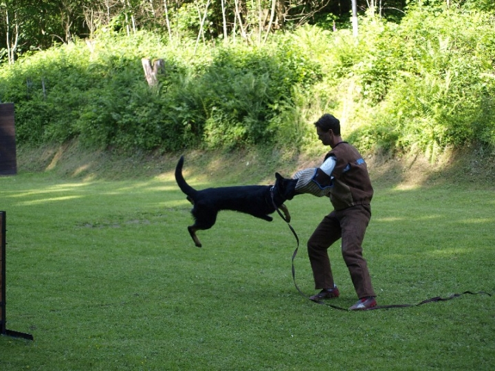 Probeschutzdienst 07.07.2013