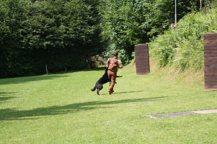 Sauerlandpokalkampf 2013 in Attendorn