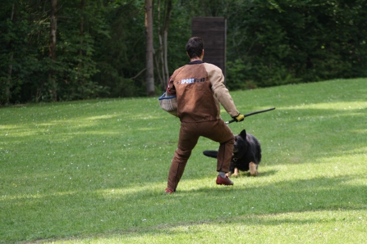 Sauerlandpokalkampf 2013 in Attendorn