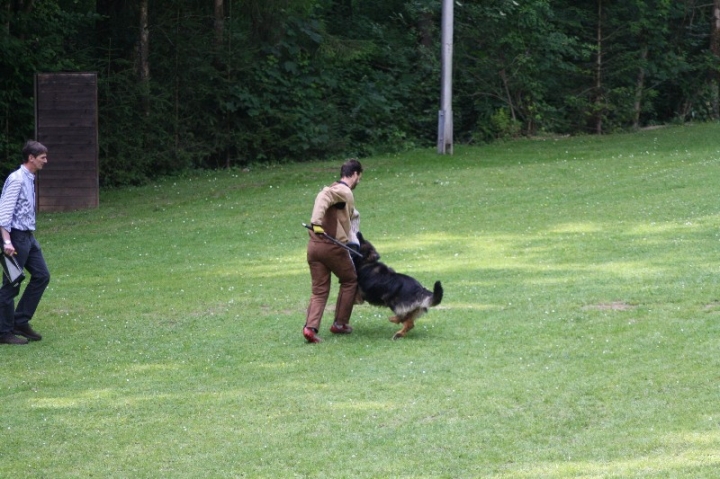 Sauerlandpokalkampf 2013 in Attendorn