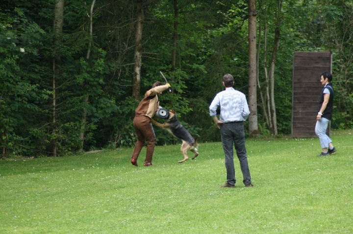 Sauerlandpokalkampf 2013 in Attendorn