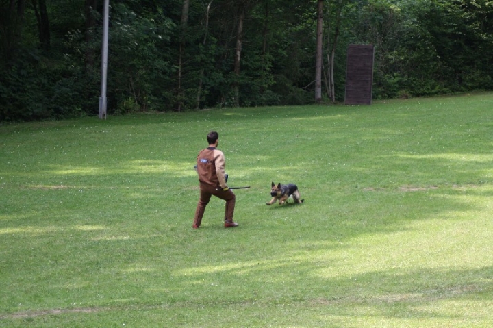 Sauerlandpokalkampf 2013 in Attendorn