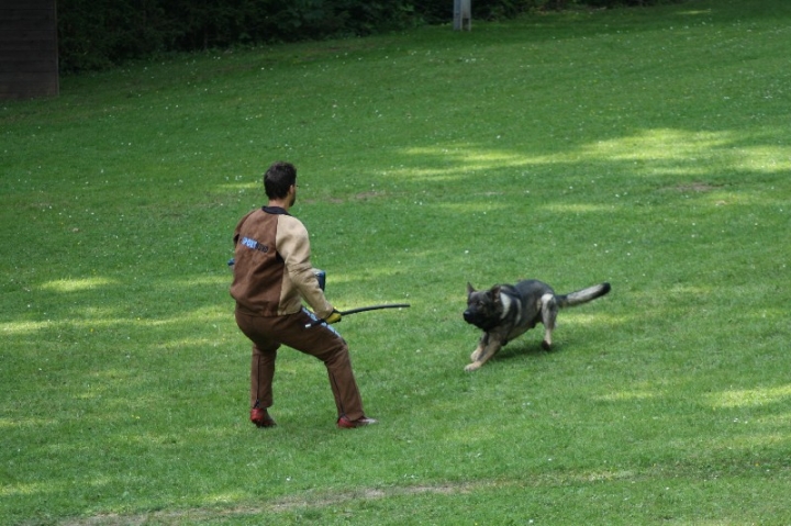 Sauerlandpokalkampf 2013 in Attendorn