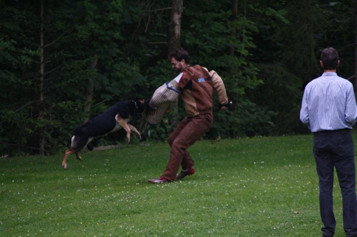 Sauerlandpokalkampf 2013 in Attendorn