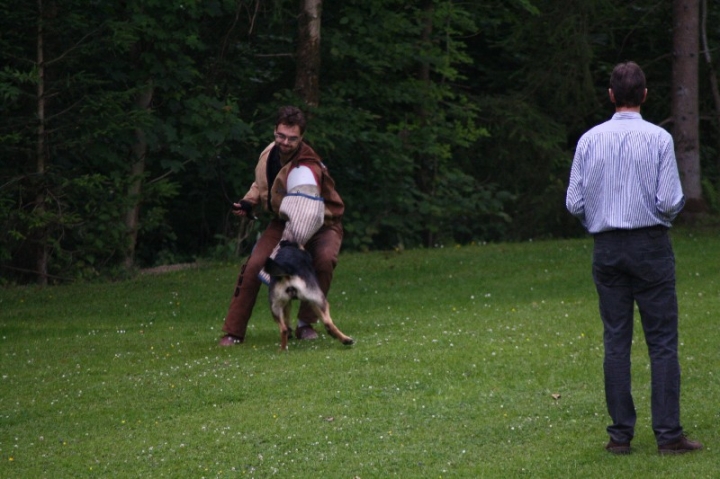 Sauerlandpokalkampf 2013 in Attendorn