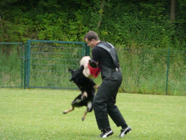 Sauerlandpokalkampf 2009 in Olpe