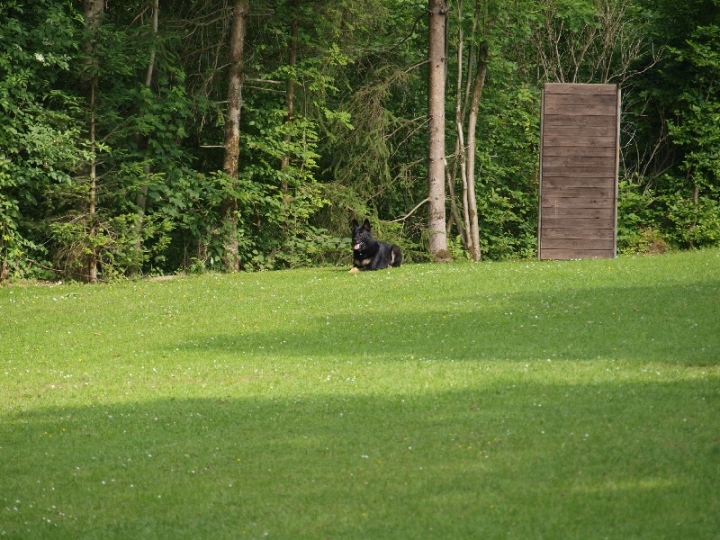 Sauerlandpokalkampf 2013 in Attendorn