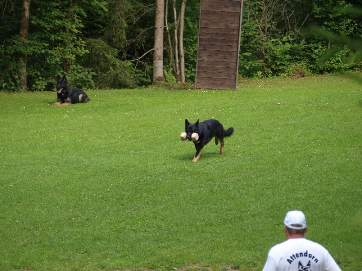 Sauerlandpokalkampf 2013 in Attendorn