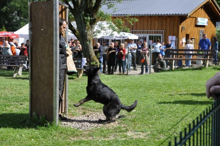 Sauerlandpokalkampf 2010 in Gerlingen