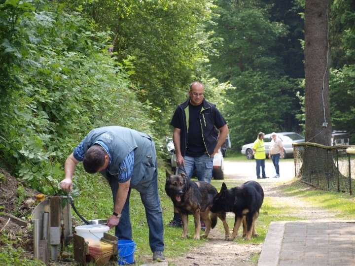 Sauerlandpokalkampf 2013 in Attendorn