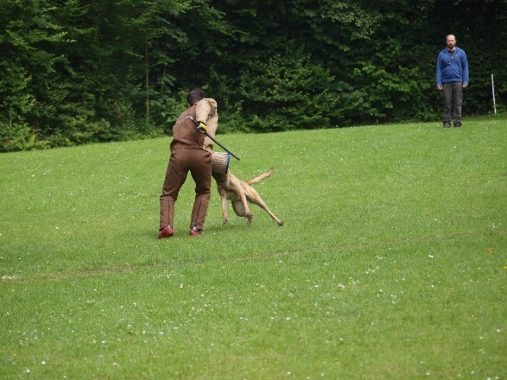 Sauerlandpokalkampf 2013 in Attendorn