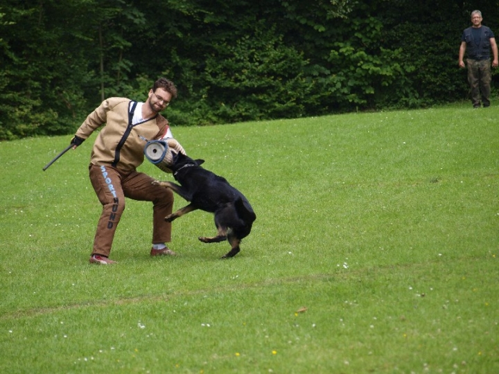 Sauerlandpokalkampf 2013 in Attendorn