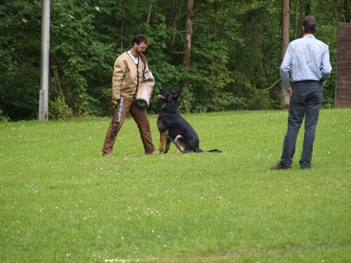 Sauerlandpokalkampf 2013 in Attendorn