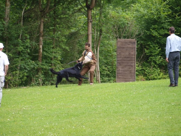 Sauerlandpokalkampf 2013 in Attendorn