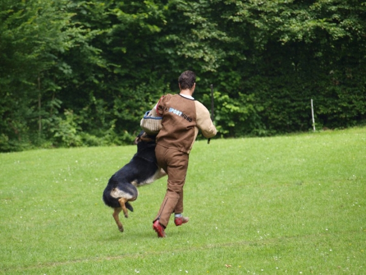 Sauerlandpokalkampf 2013 in Attendorn