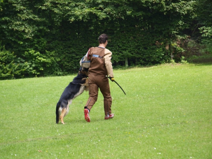 Sauerlandpokalkampf 2013 in Attendorn