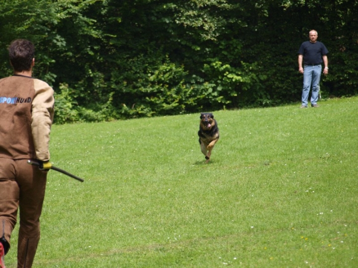 Sauerlandpokalkampf 2013 in Attendorn