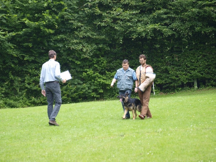 Sauerlandpokalkampf 2013 in Attendorn