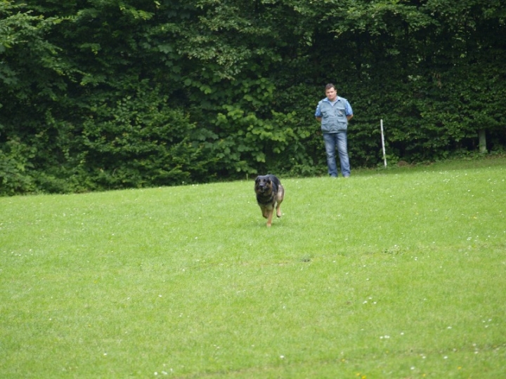 Sauerlandpokalkampf 2013 in Attendorn